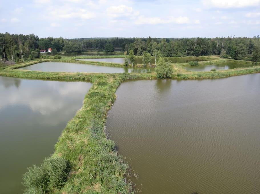 Ferienwohnung Mia Tirschenreuth Exteriör bild